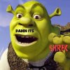 shrek2.jpeg